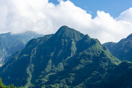 一座青山