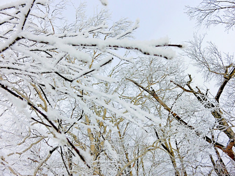 中国雪乡