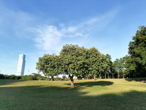 莲花山公园风筝广场