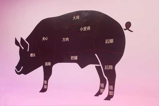 猪肉分割图