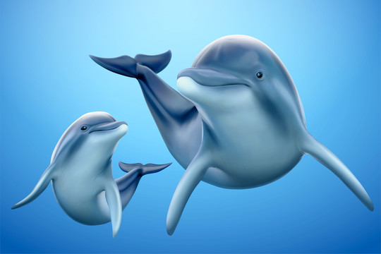 魅力海豚家庭插画