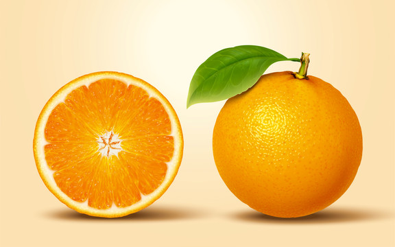 写实多汁柑橘插图