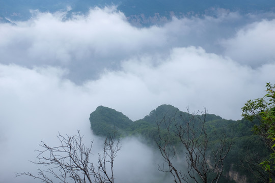 高山云海