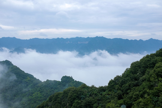 高山云海