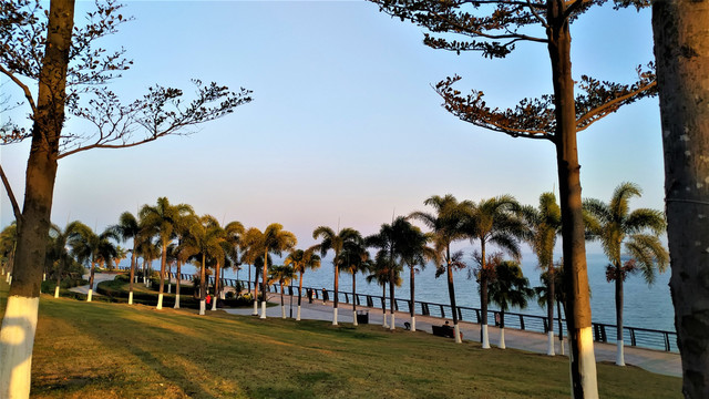 滨海风光
