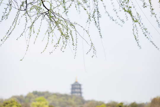 杭州西湖春天里的雷峰塔