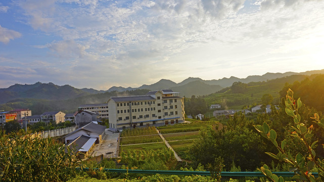 龙湖公园11