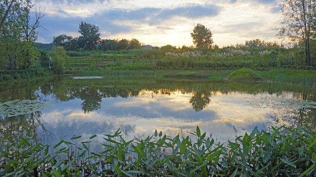龙湖公园39