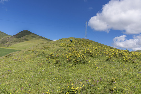 高原风光