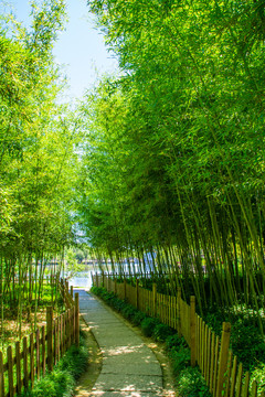 绍兴东湖公园