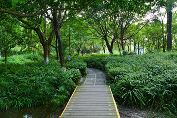 成都东湖公园风景