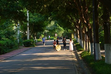 成都东湖公园风景