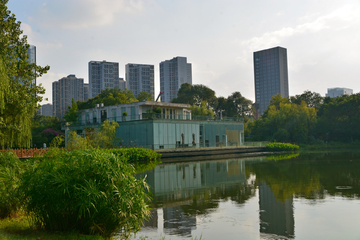 成都东湖公园湖畔风景