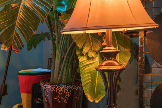 绿植和台灯搭配的室内陈设