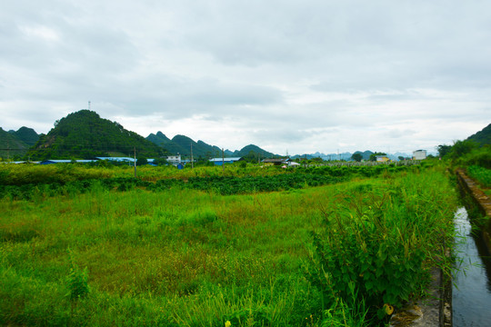 阳朔田园风光