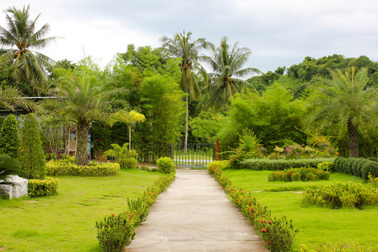 绿色植物园