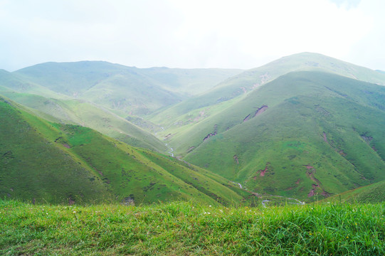 会泽大海草山