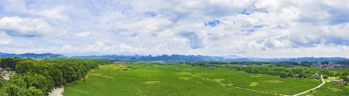 风景