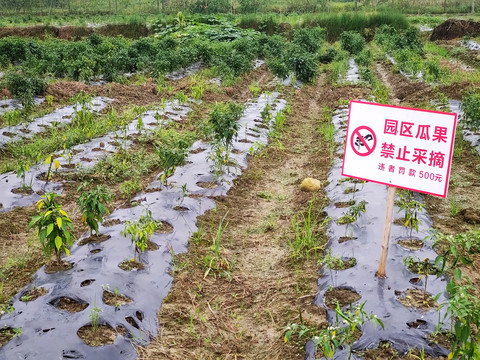 蔬菜园警示牌