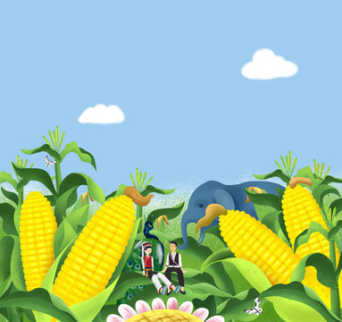玉米插画