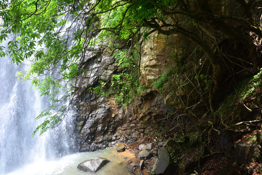 马峦山郊野公园瀑布