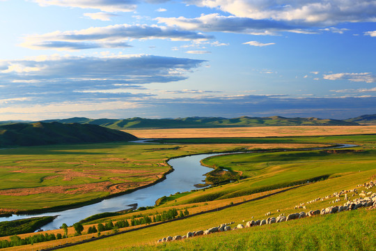 草原河流牧场羊群