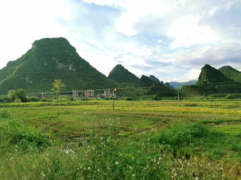 山里水田人家