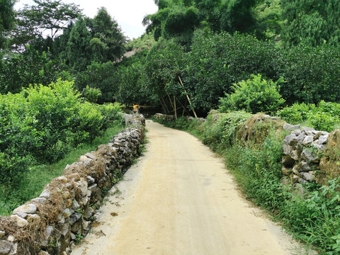 山坡路