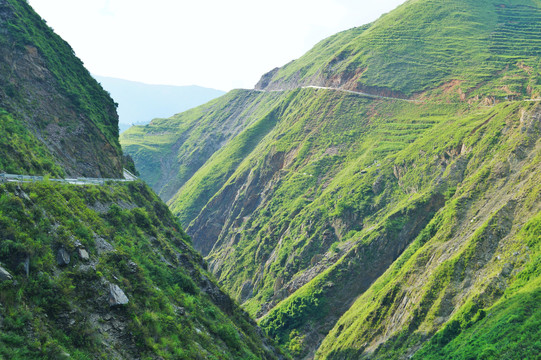 云南大山深处