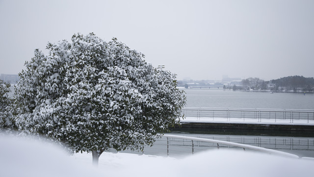安徽省合肥市翡翠湖风景区雪景