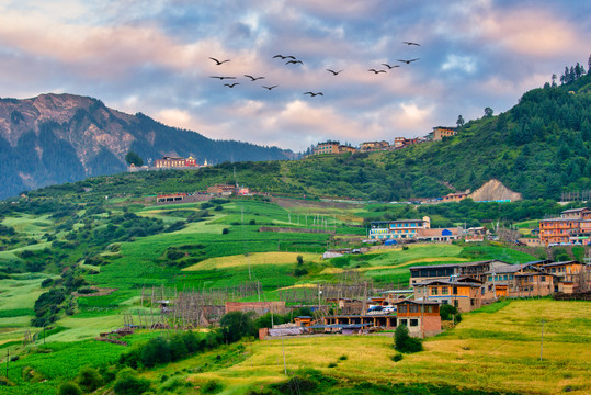 扎尕那风景