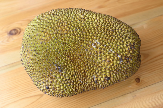 菠萝蜜
