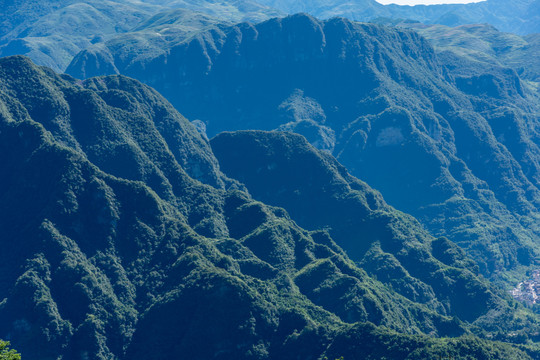 青山