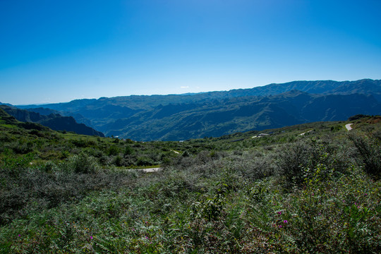 山村