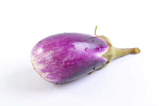 紫圆茄子