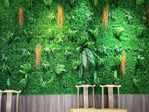 餐厅植物背景墙