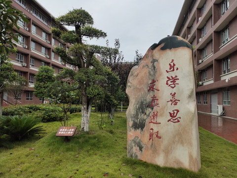 学校石头雕刻