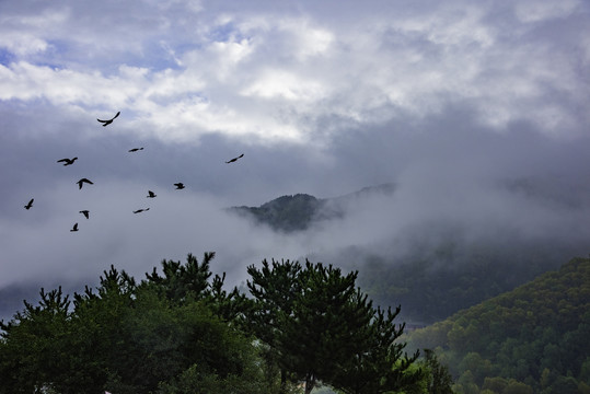 五台山风光