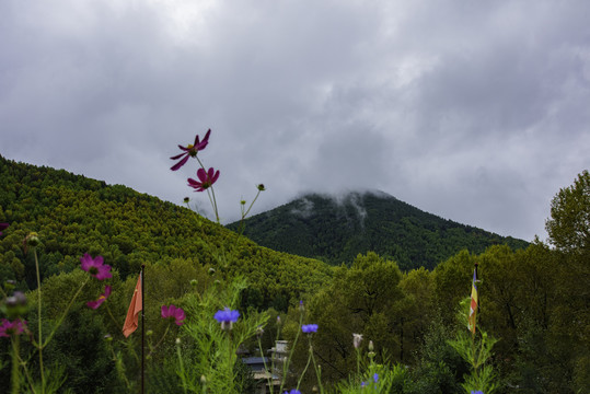 五台山风光