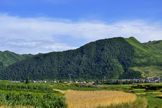 乡村田园风光