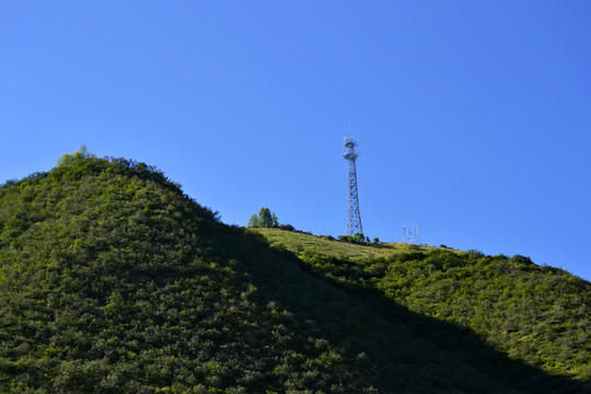 青山绿树