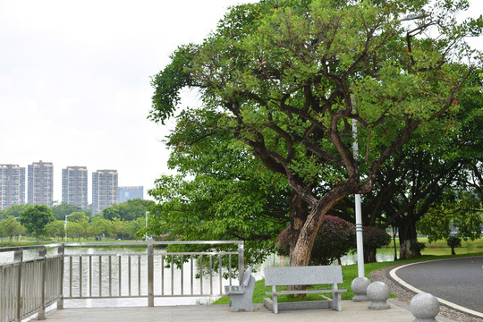 松山湖松湖烟雨风景