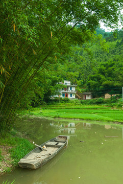 竹子之乡的绿水青山