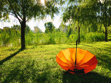 草坪上的一把伞