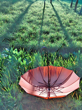 草坪草地上的一把伞