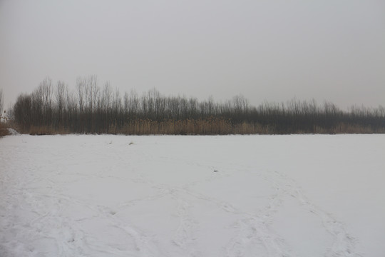 大雪原野