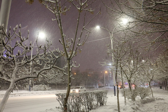 夜色雪景