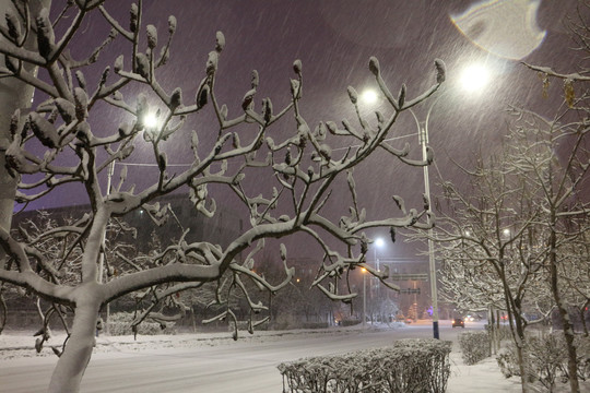 下雪的夜晚