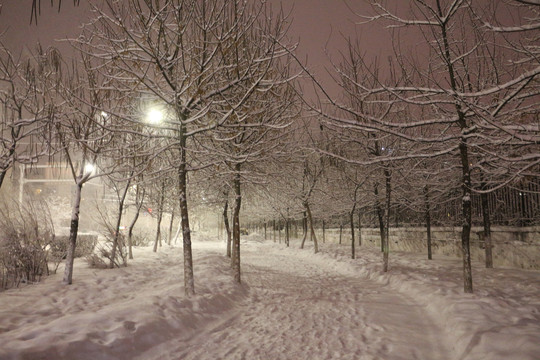 冬夜雪景