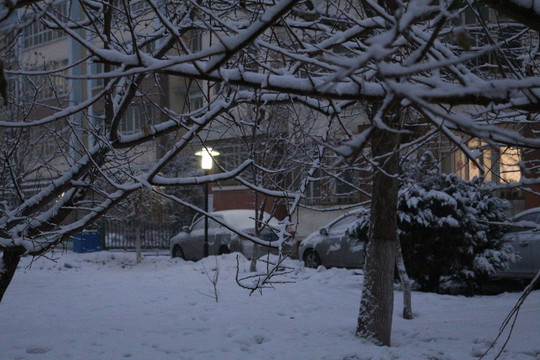 雪夜路灯